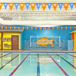 Goldfish Swim School - Ashburn | 21140 Ashburn Crossing Drive suite 115, Ashburn, VA 20147, USA | Phone: (703) 420-7643