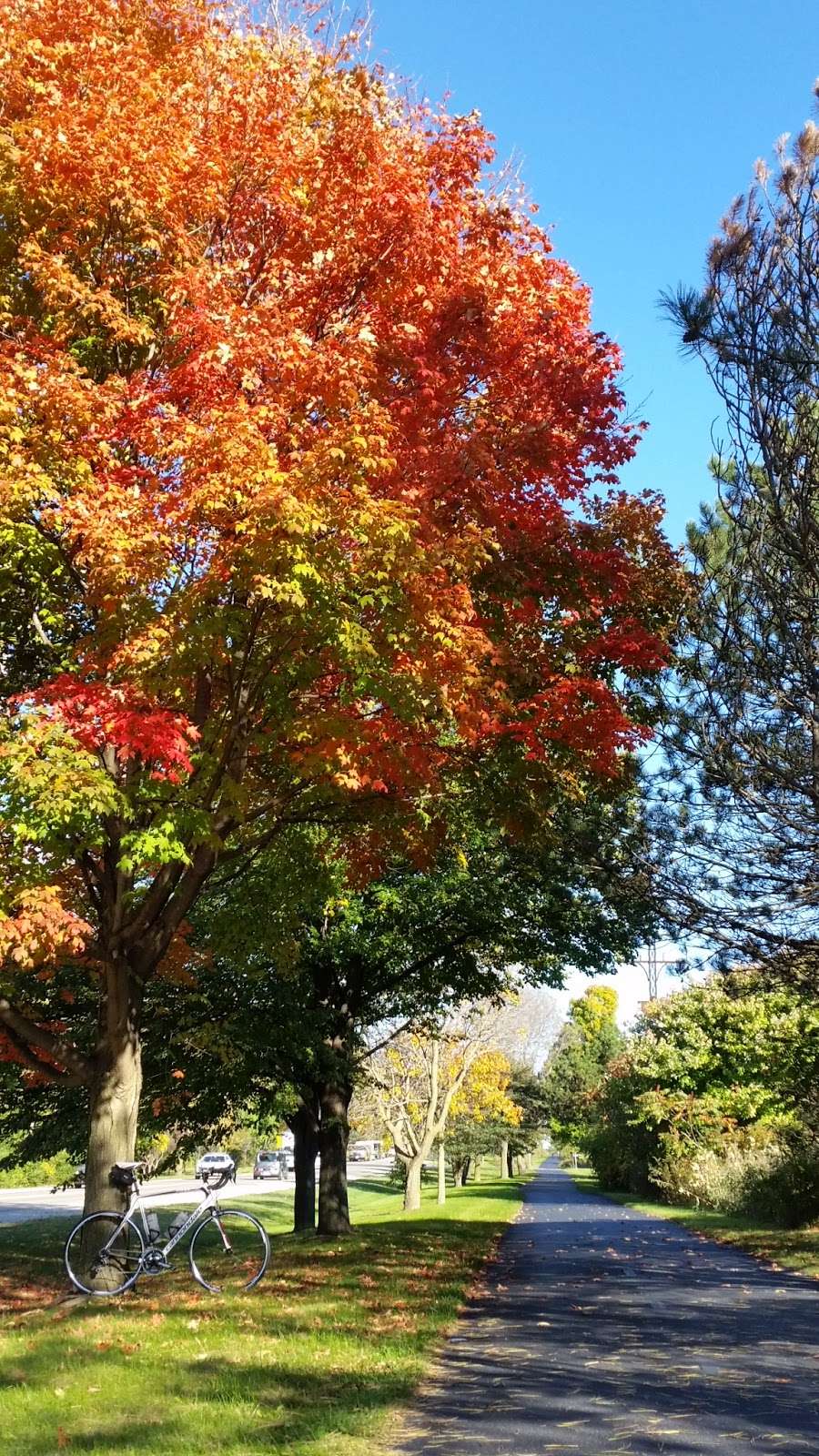 Skokie River Nature Preserve | Skokie Hwy, Lake Forest, IL 60045 | Phone: (847) 234-3880