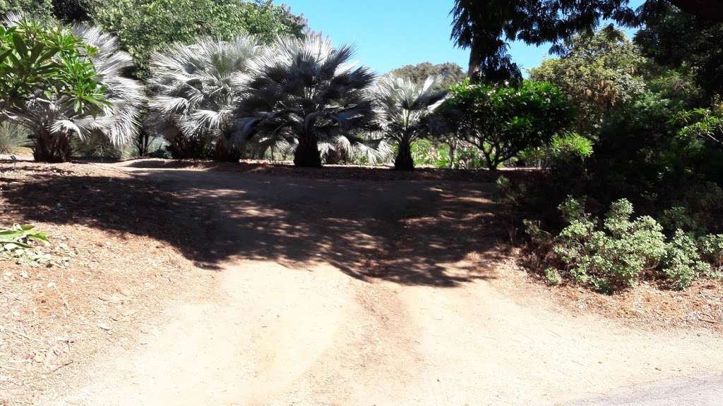 Plumeria Trail | 5776031900, Arcadia, CA 91007, USA