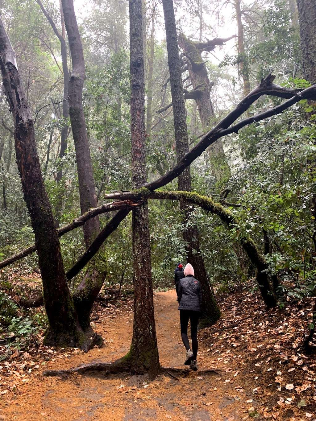 Castle Rock state park parking | Castle Rock Trail, Saratoga, CA 95070, USA