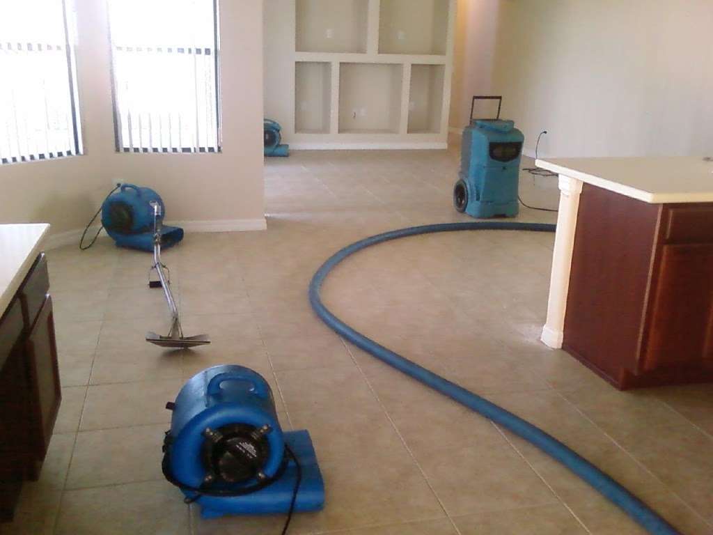 Logan Carpet Cleaning Inc | 141 E Lakeshore Blvd, Kissimmee, FL 34744, USA | Phone: (407) 344-9050