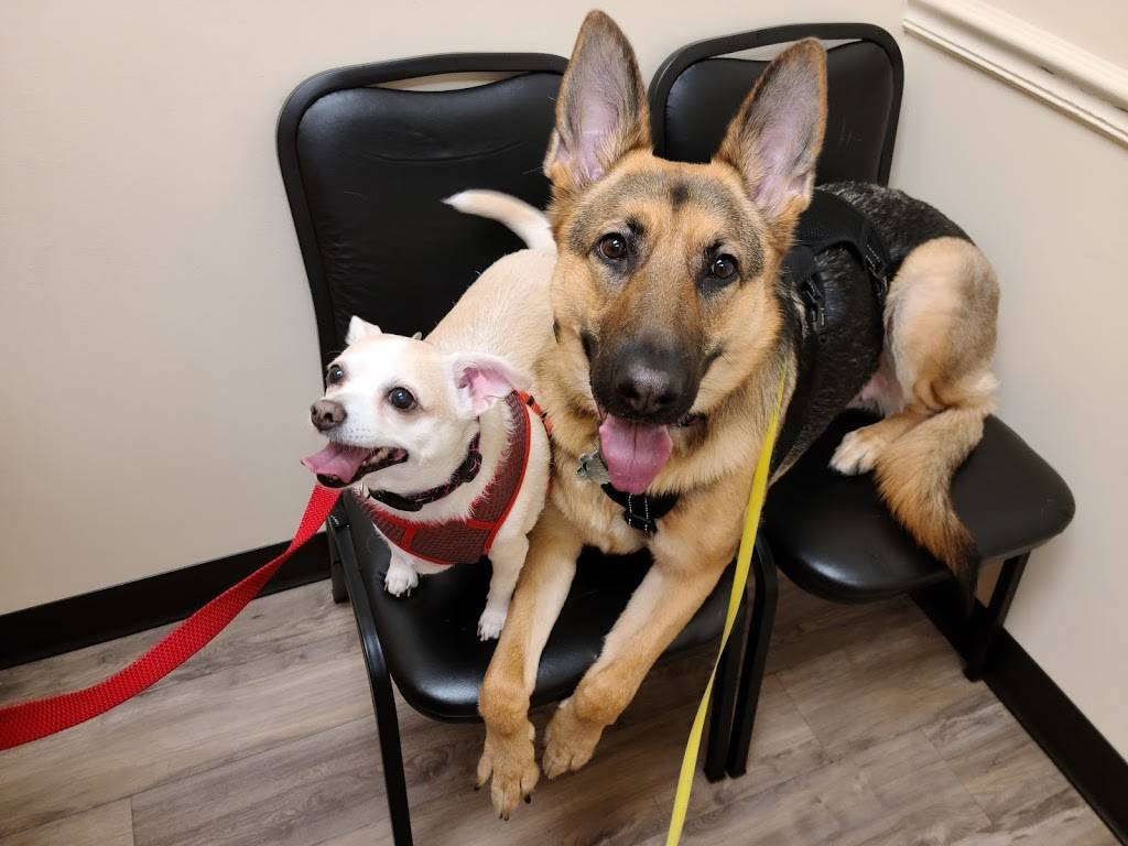 Whitehouse Animal Hospital | 11004 W Beaver St, Jacksonville, FL 32220, USA | Phone: (904) 781-0599