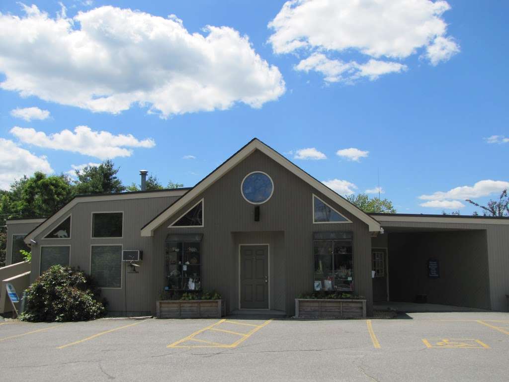 Littleton Animal Hospital | 29 King St, Littleton, MA 01460, USA | Phone: (978) 486-3101