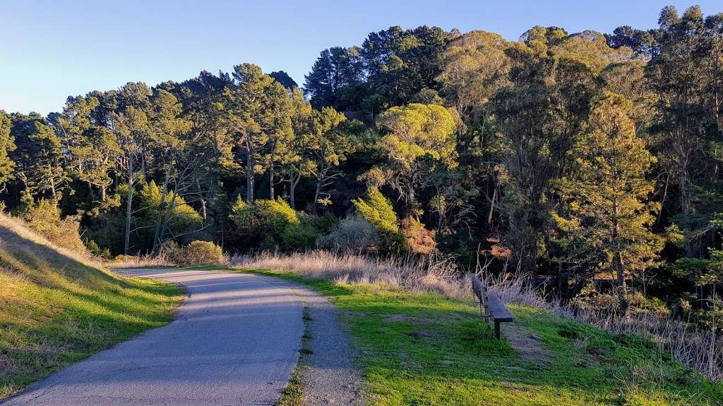 Nimitz Trail South Trailhead | 750 Wildcat Canyon Rd, Berkeley, CA 94708