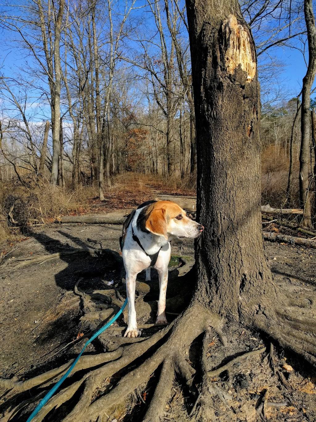 Eagle Spur Trail | Eagles Spur Rail-Trail, Durham, NC 27713, USA | Phone: (919) 616-3612