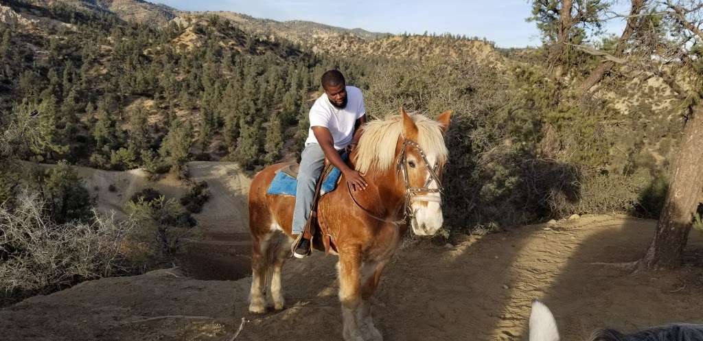 Southern California Horseback Trail Rides (American Jousting All | 15568 Greenleaf Springs Rd, Frazier Park, CA 93225 | Phone: (661) 245-4000