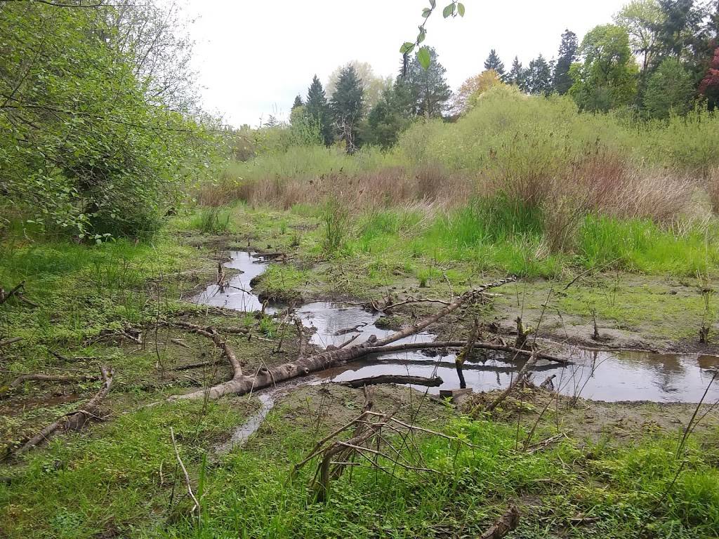Raleighwood Wetlands Natural Area | Portland, OR 97225, USA | Phone: (503) 619-3962
