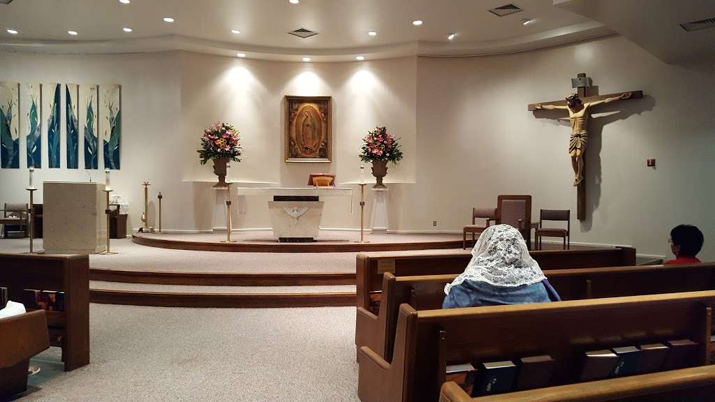 Holy Spirit Catholic Church | 8134 Blanco Rd, San Antonio, TX 78216, USA | Phone: (210) 341-1395