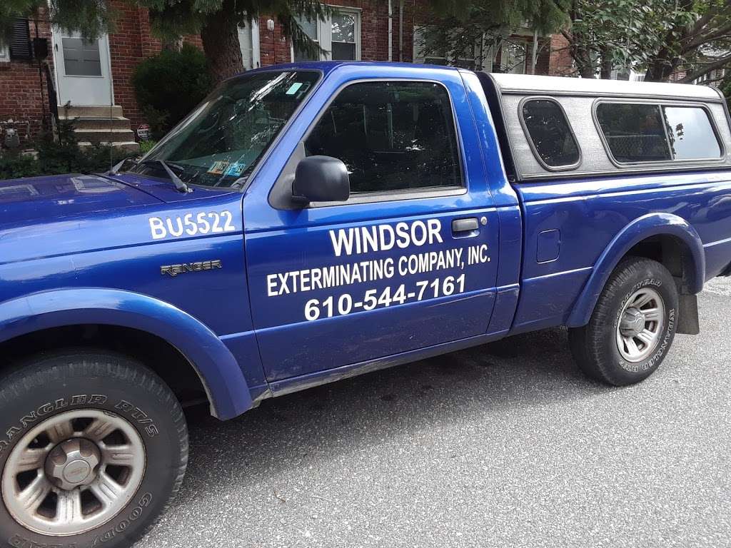 Windsor Exterminating Company, Inc. | 1947 Franklin Ave, Morton, PA 19070, USA | Phone: (610) 544-7161