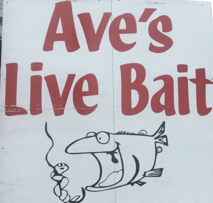 Aves Live Bait | 3610 S Green St, Brownsburg, IN 46112 | Phone: (317) 460-9935