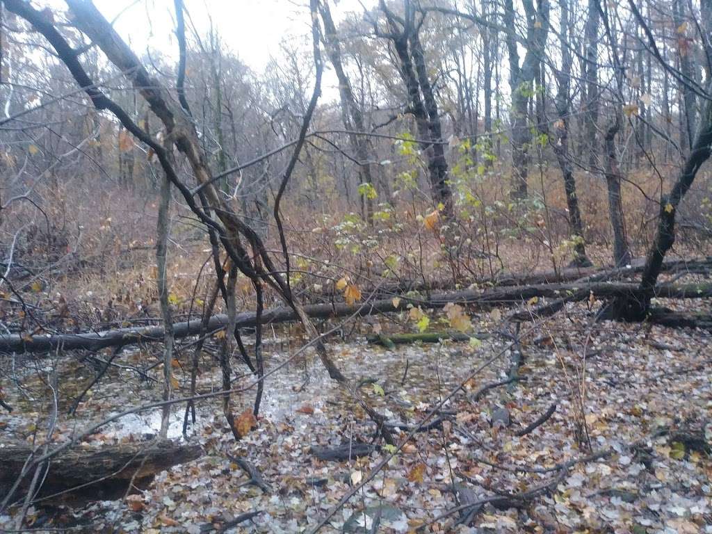 Cunningham Park Southeast Preserve Trail - Trailhead | Queens Village, NY 11427