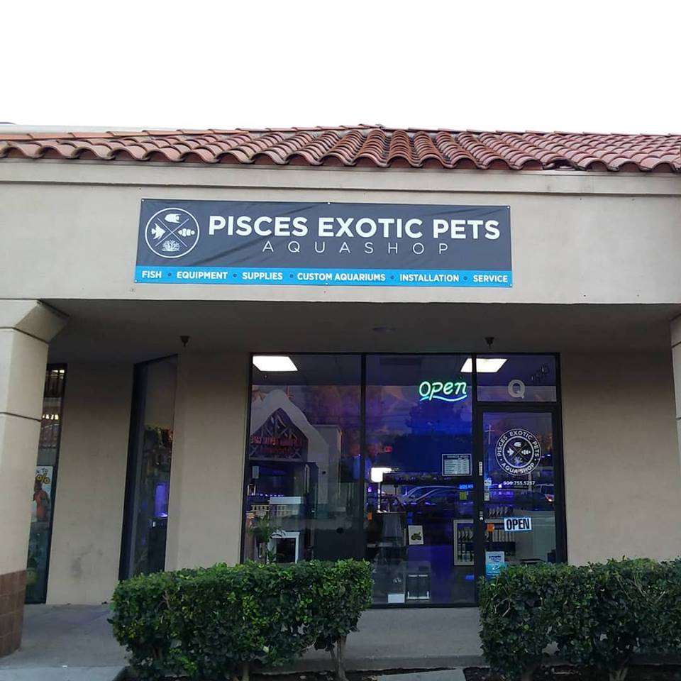 Pisces Exotic Pets | 9255 Base Line Rd suite q, Rancho Cucamonga, CA 91730, USA | Phone: (909) 755-5257