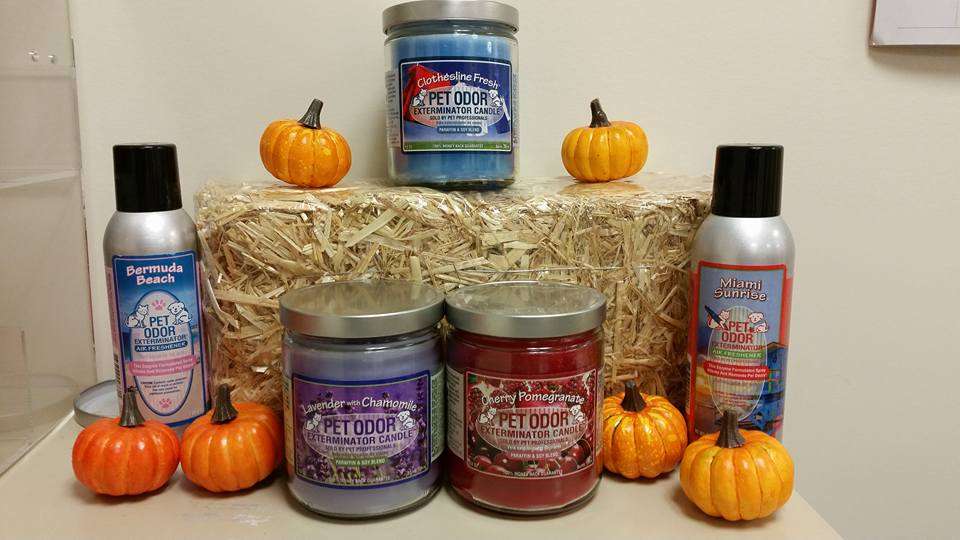 Saint Thomas Veterinary Center | 6442 Lincoln Way W, St Thomas, PA 17252, USA | Phone: (717) 595-0337