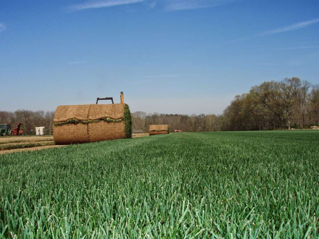 Superior Turf & Landscape Inc | 1735 Swamp Rd, Furlong, PA 18925 | Phone: (215) 794-8700