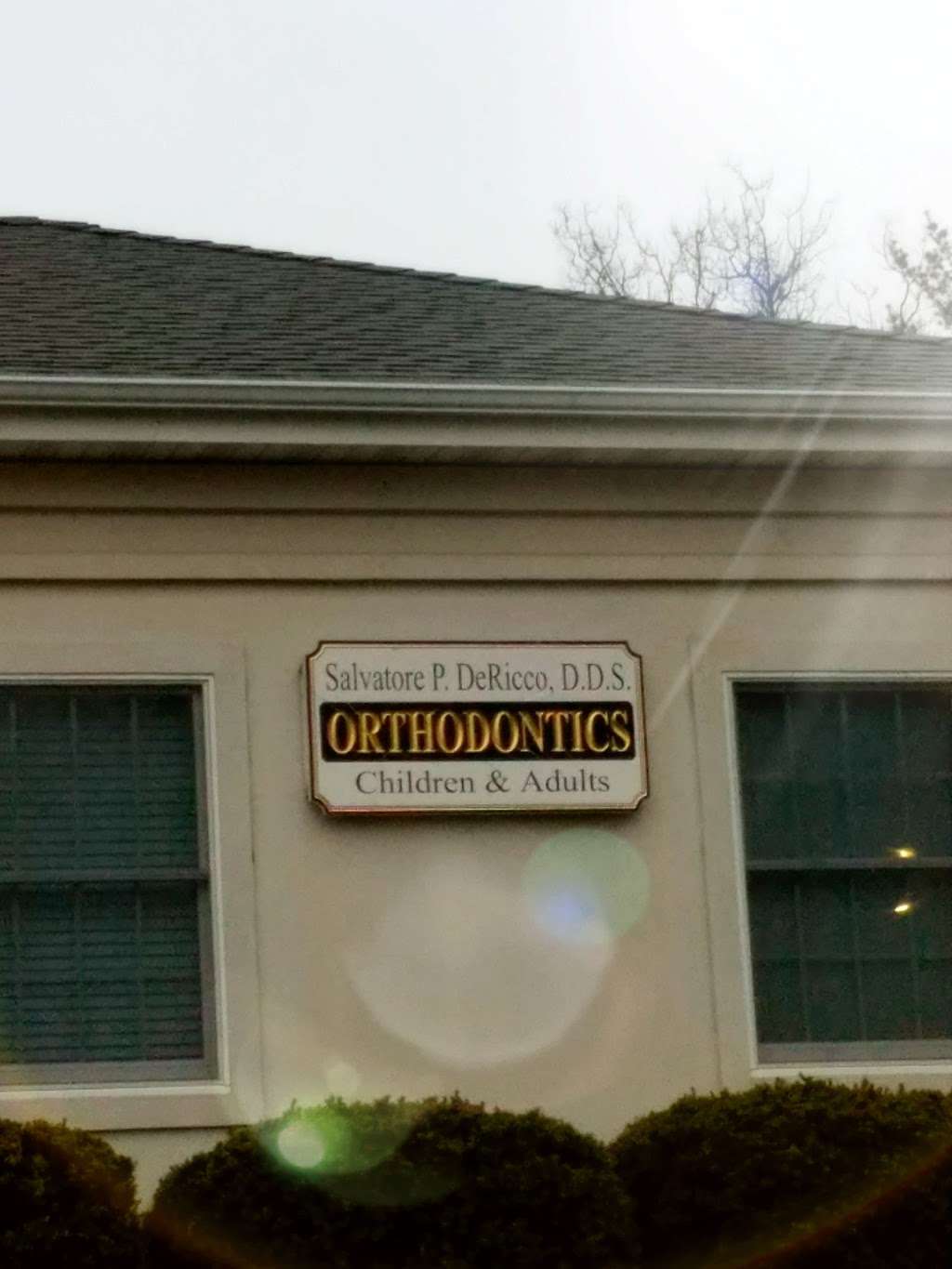 Salvatore P. DeRicco, D.D.S. | 141 Underhill Ave, West Harrison, NY 10604 | Phone: (914) 948-7616