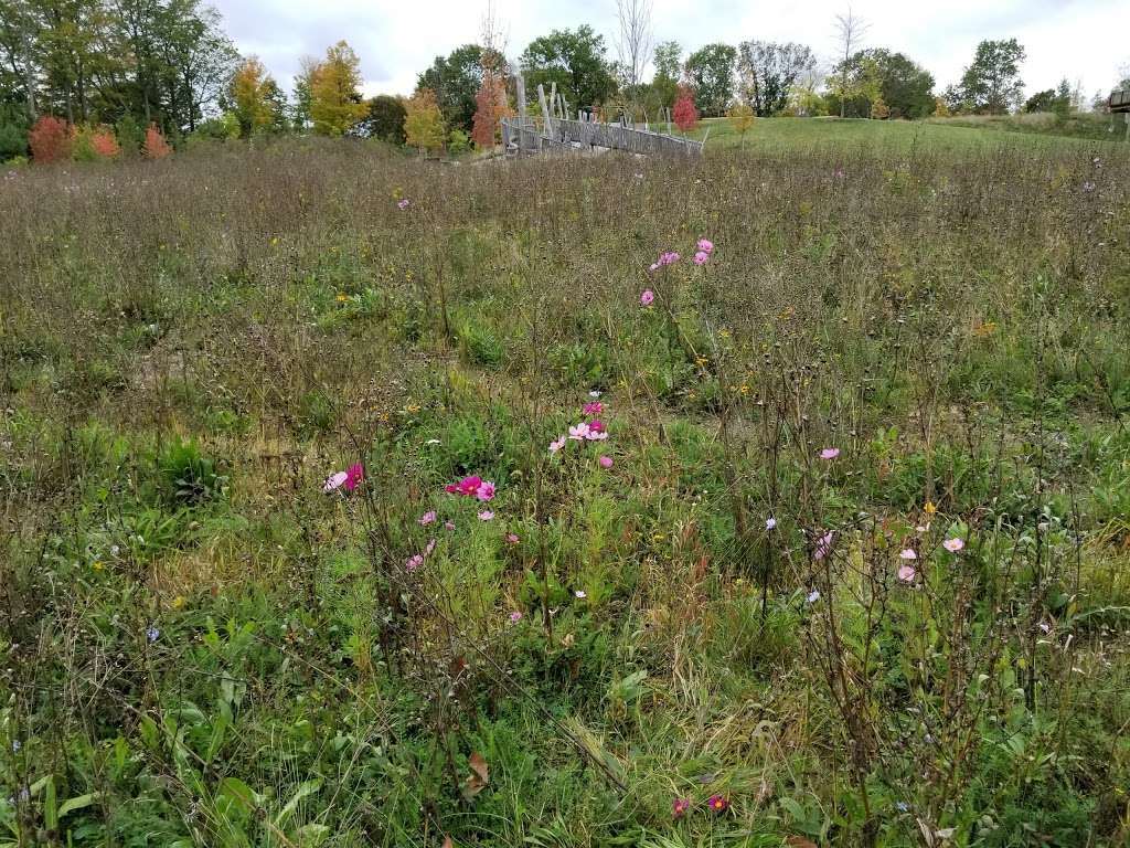 Fisher Hill Reservoir Park | 78-144 Fisher Ave, Brookline, MA 02445, USA