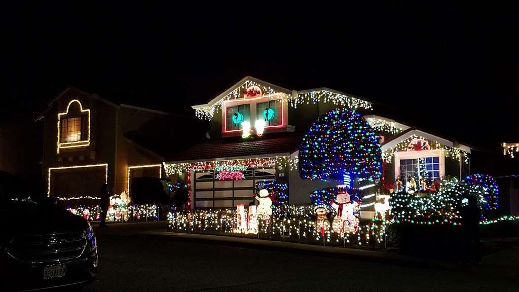 Chestnut/Treeside Christmas Lights | Chestnut Avenue &, Treeside Court, South San Francisco, CA 94080, USA