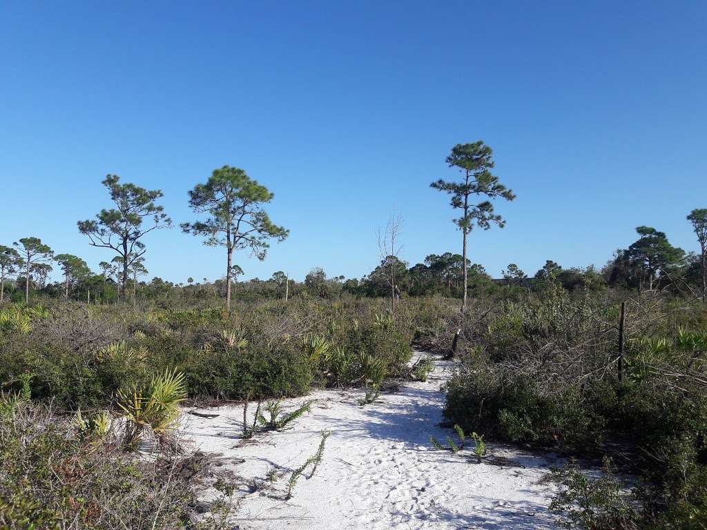 Seabranch Preserve State Park | 6093 SE Dixie Hwy, Stuart, FL 34997, USA | Phone: (772) 219-1880