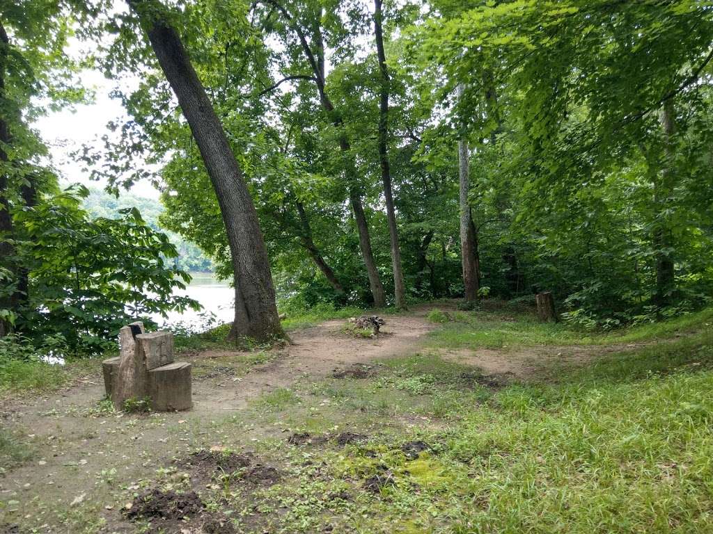 Huckleberry Hill Campsite | Chesapeake and Ohio Canal Towpath, Knoxville, MD 21758, USA