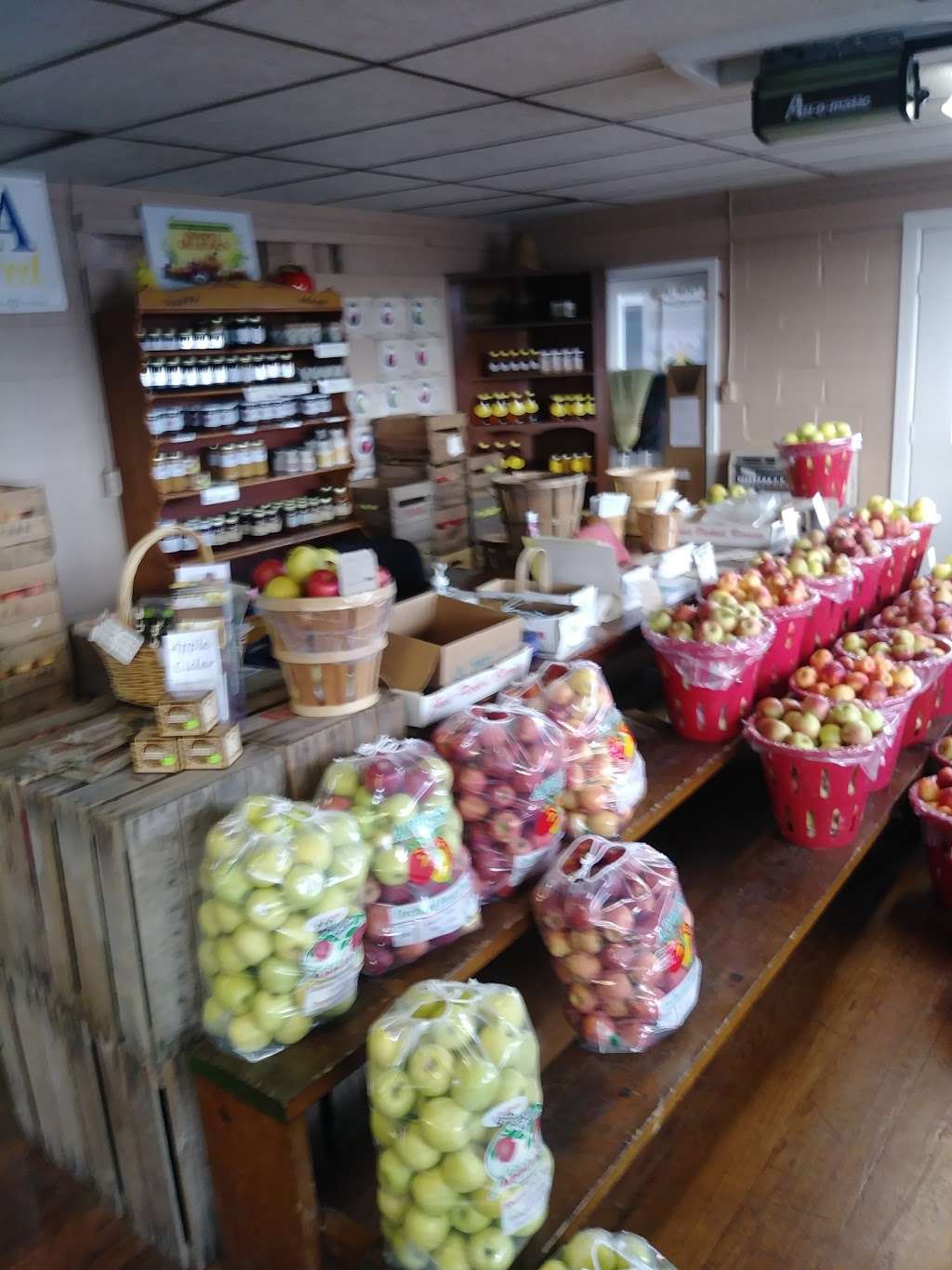 Shatzer Fruit Market | 2197 Lincoln Way W, Chambersburg, PA 17202, USA | Phone: (717) 263-2195