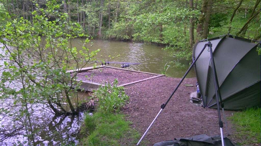 Bentley Fishery - Carp Lake | Mores Ln, Brentwood CM14 5RU, UK | Phone: 07939 074089