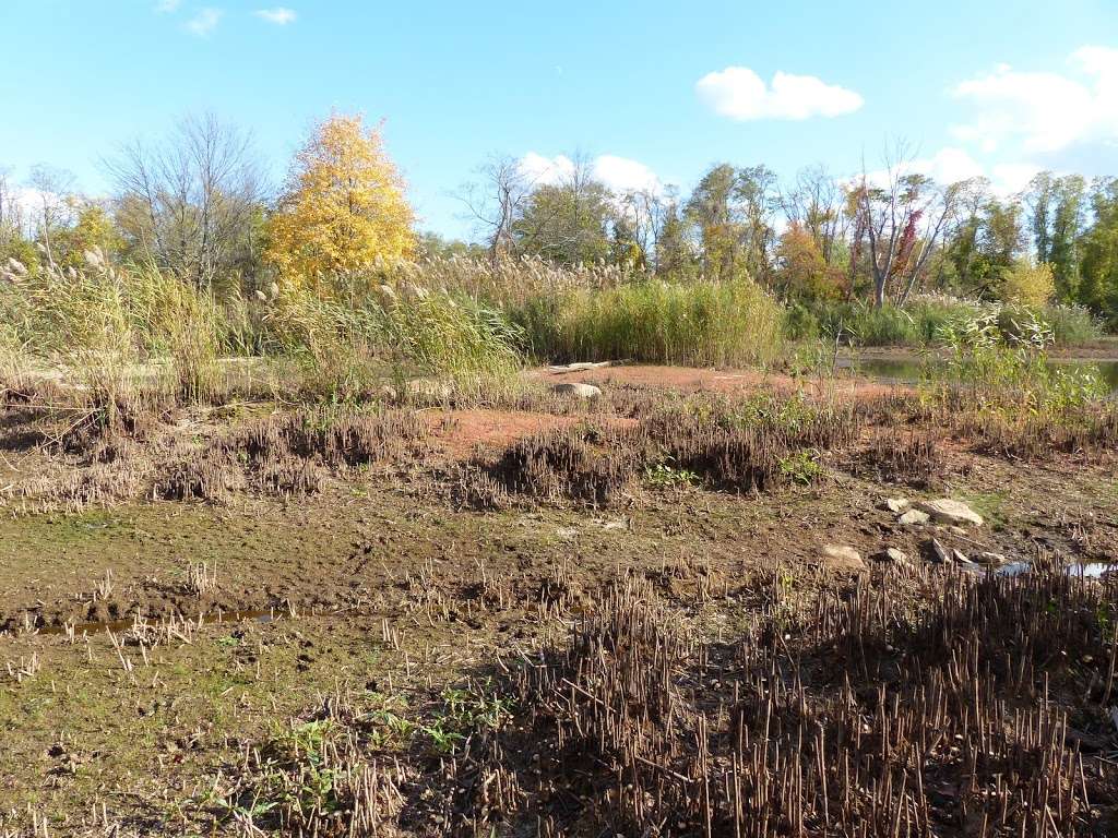 Hempstead Harbor Natural Area | Port Washington, NY 11050