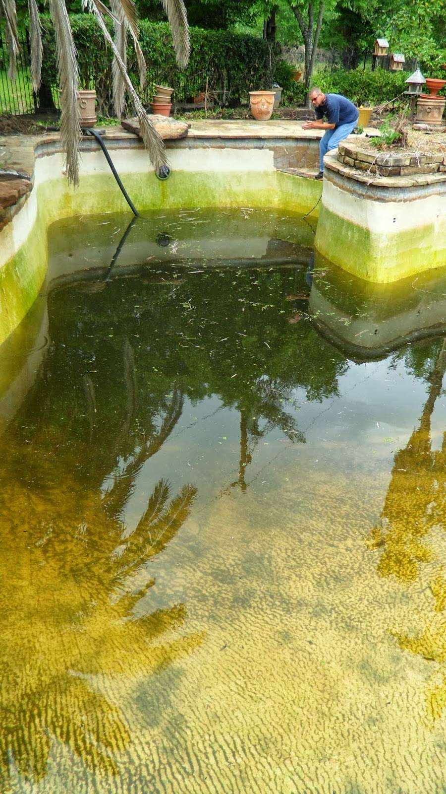 Sparkling Pools | 26031 Leafywood Dr, Spring, TX 77386, USA | Phone: (832) 594-9494