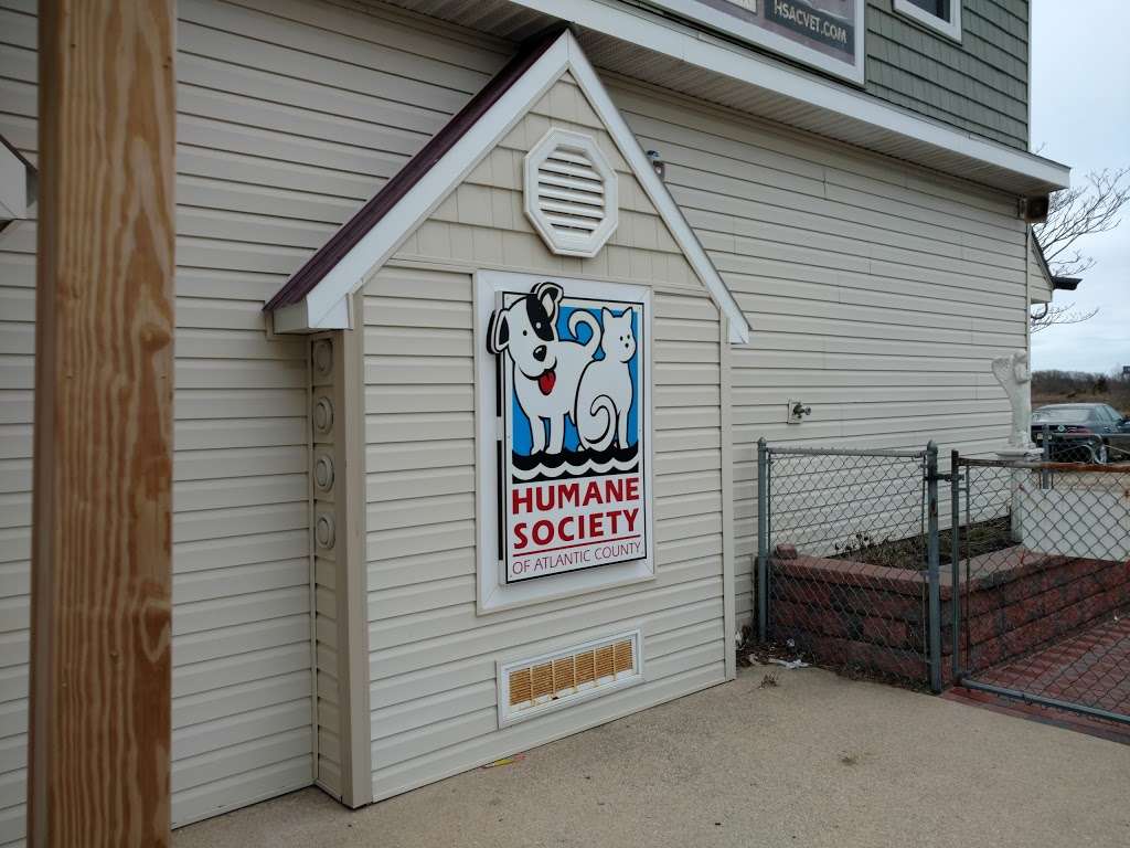 Humane Society of Atlantic County | 1401 Absecon Blvd, Atlantic City, NJ 08401, USA | Phone: (609) 347-2487