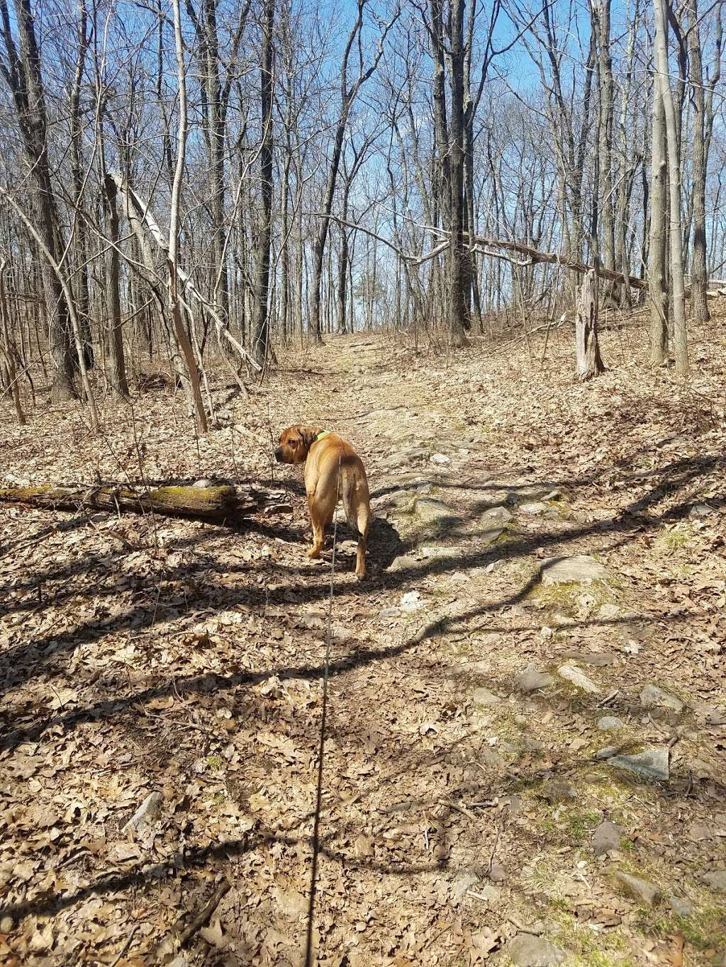 Appalachian Trail - Fox Gap | Appalachian Trail, Bangor, PA 18013