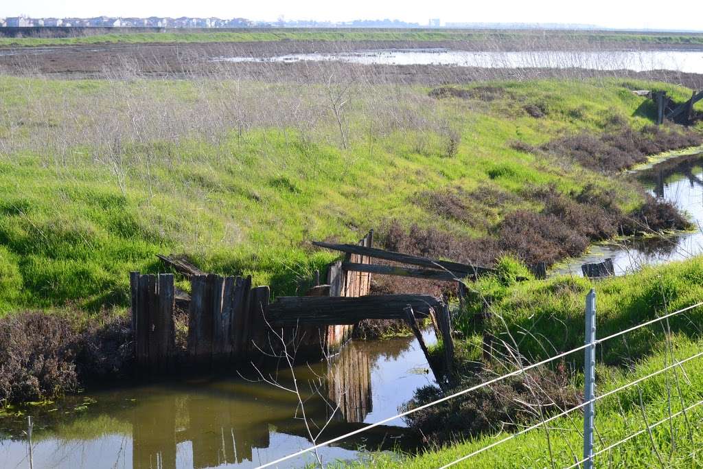 Eden Landing Ecological Reserve | Union City, CA 94587, USA | Phone: (707) 944-5500