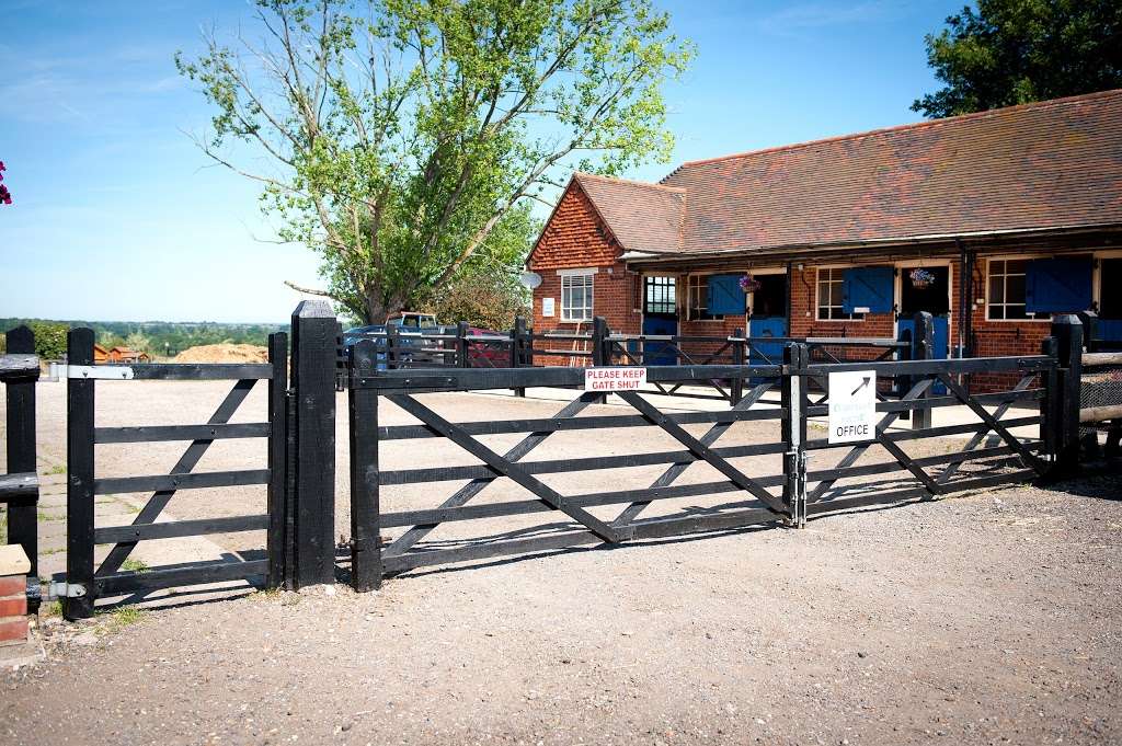 Clarendon Equine Vets | Bexfields Farm, Galleywood Rd, Chelmsford CM2 8BY, UK | Phone: 01245 346904