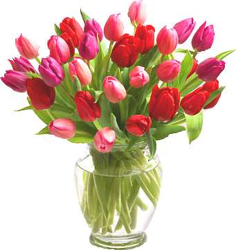 ARIEL POTOMAC FLORIST & GIFT BASKETS | 9440 Newbridge Dr, Potomac, MD 20854, USA | Phone: (240) 207-3562