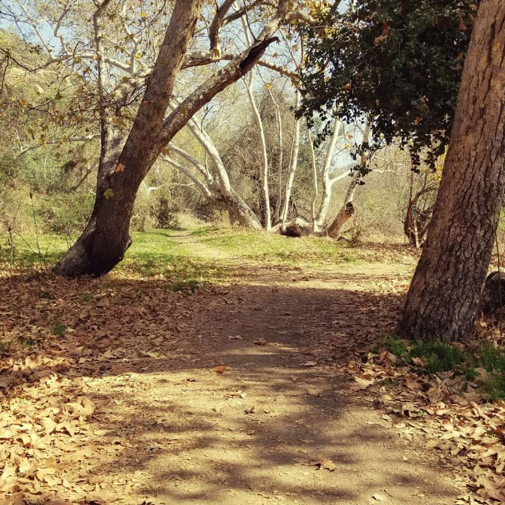 Sycamore Canyon Trailhead | 5040 Workman Mill Rd, Whittier, CA 90601, USA | Phone: (562) 945-9003