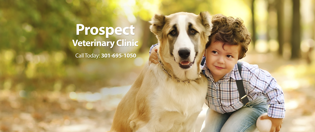 Prospect Veterinary Clinic | 411 S Jefferson St, Frederick, MD 21701, USA | Phone: (301) 695-1050