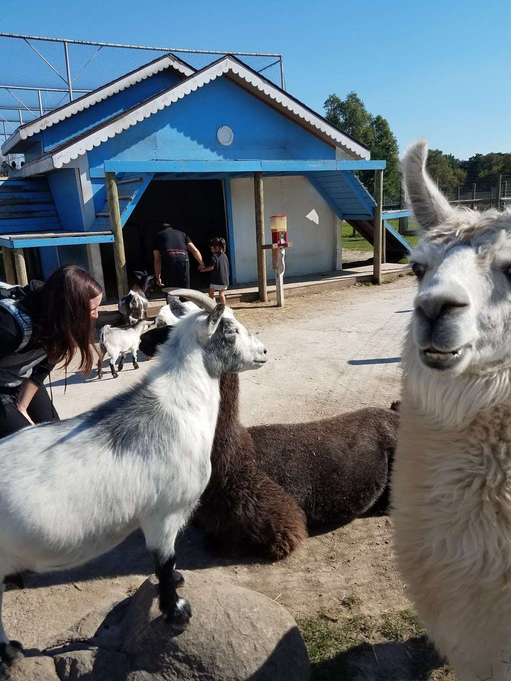 Animal Gardens, Delavan, WI | 5065 WI-50, Delavan, WI 53115, USA | Phone: (262) 728-8200