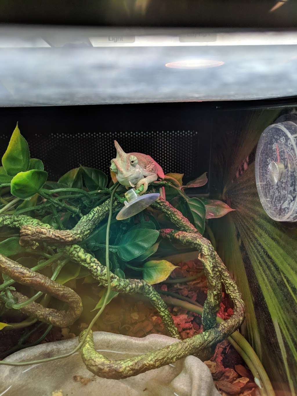 PetSmart | 6345 Garth Rd Suite 140, Baytown, TX 77521, USA | Phone: (346) 216-3983