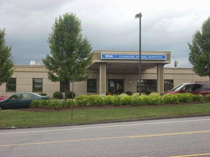 VCA Dunmore Animal Hospital | 1317 E Drinker St, Dunmore, PA 18512, USA | Phone: (570) 344-7651