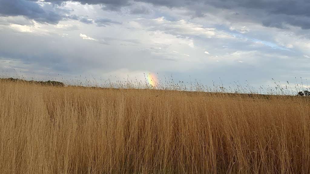 Sand Creek Riparian Preserve | 20809 E 6th Ave, Aurora, CO 80018, USA | Phone: (303) 297-1192