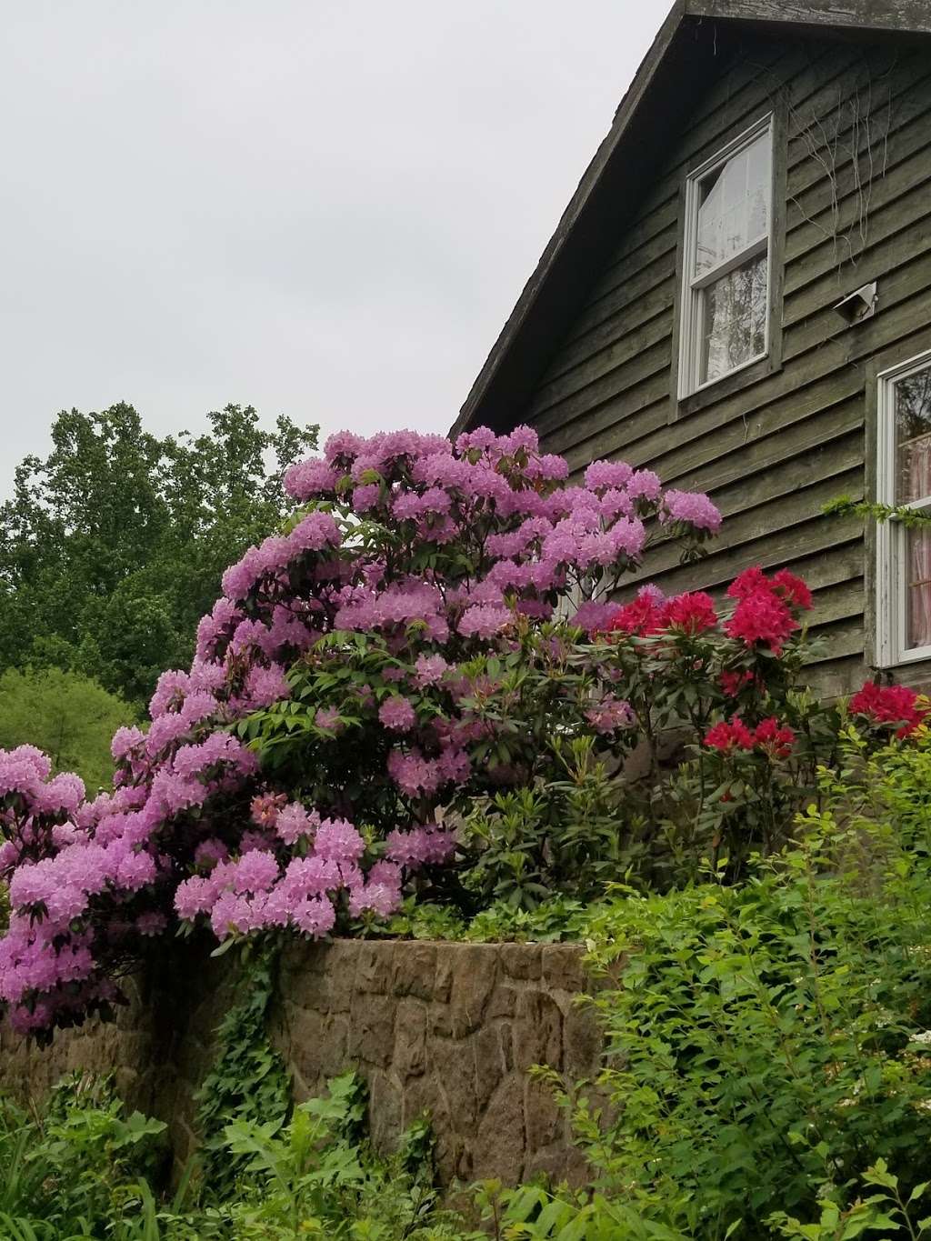 Living Spring Farm Bed & Breakfast | 1737 Alleghenyville Rd, Mohnton, PA 19540, USA | Phone: (484) 529-0042