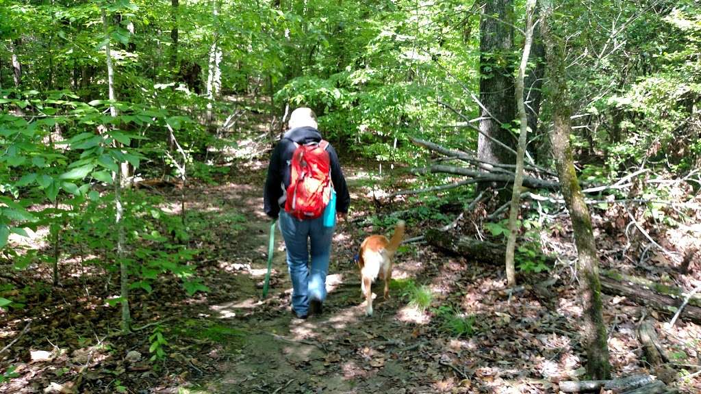 Hickory Hollow Natural Area Preserve | Regina Rd, Lancaster, VA 22503, USA | Phone: (804) 786-7951