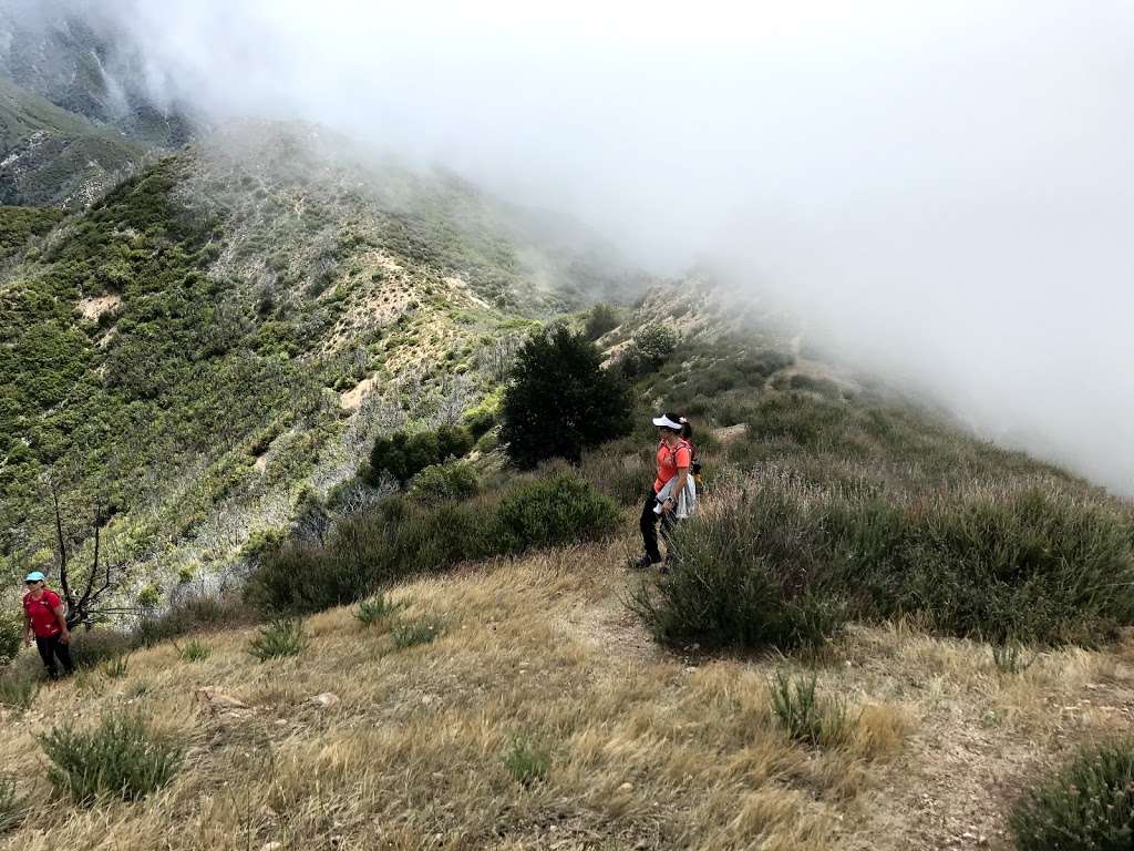 Brown mountain trail | Altadena, CA 91001