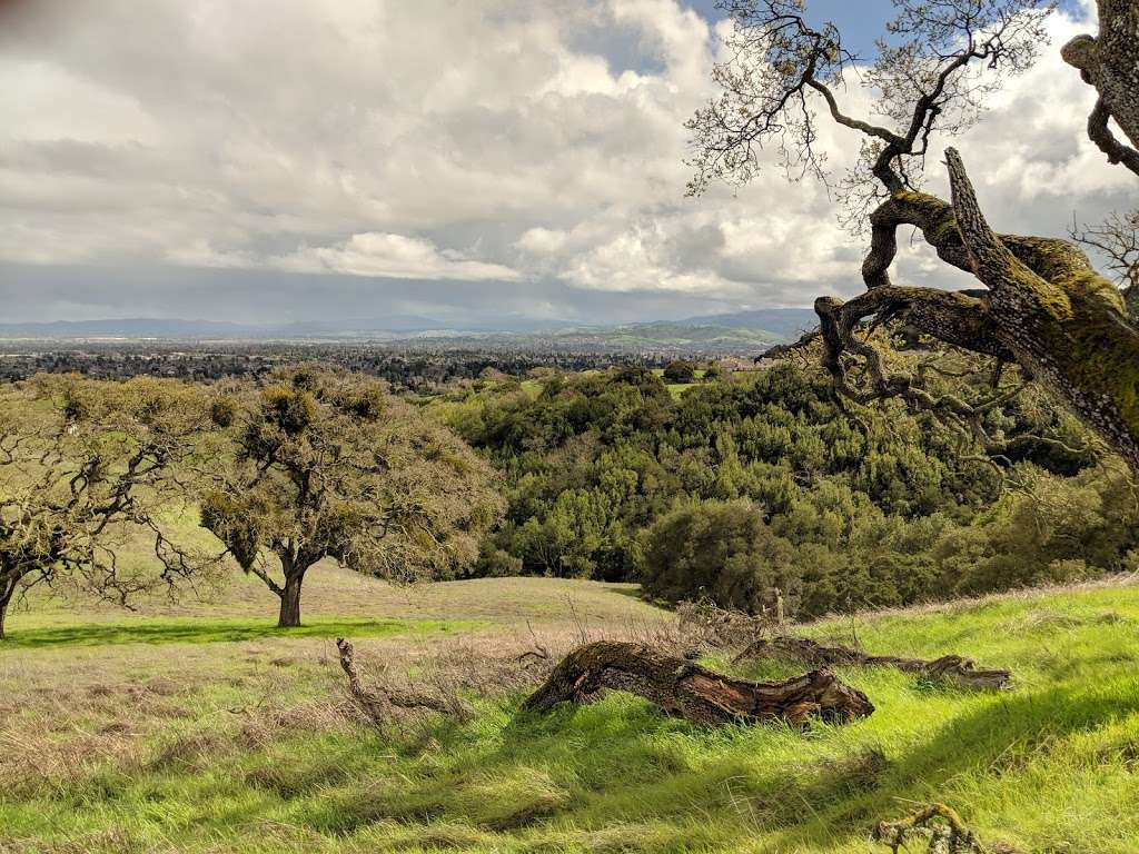 The Preserve Area Trails | The Preserve Area Trails, Pleasanton, CA 94588, USA