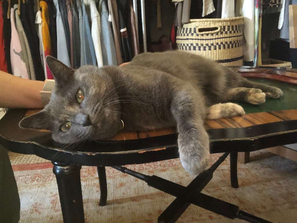 Happy Paws Fit & Sit | 6922 Elusive Pass, San Antonio, TX 78233, USA | Phone: (210) 560-3461