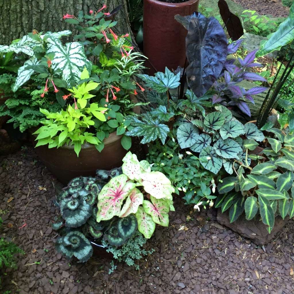 Guaranteed Plants & Florist | 504 Locust Point Rd, Rumson, NJ 07760, USA | Phone: (732) 291-3241