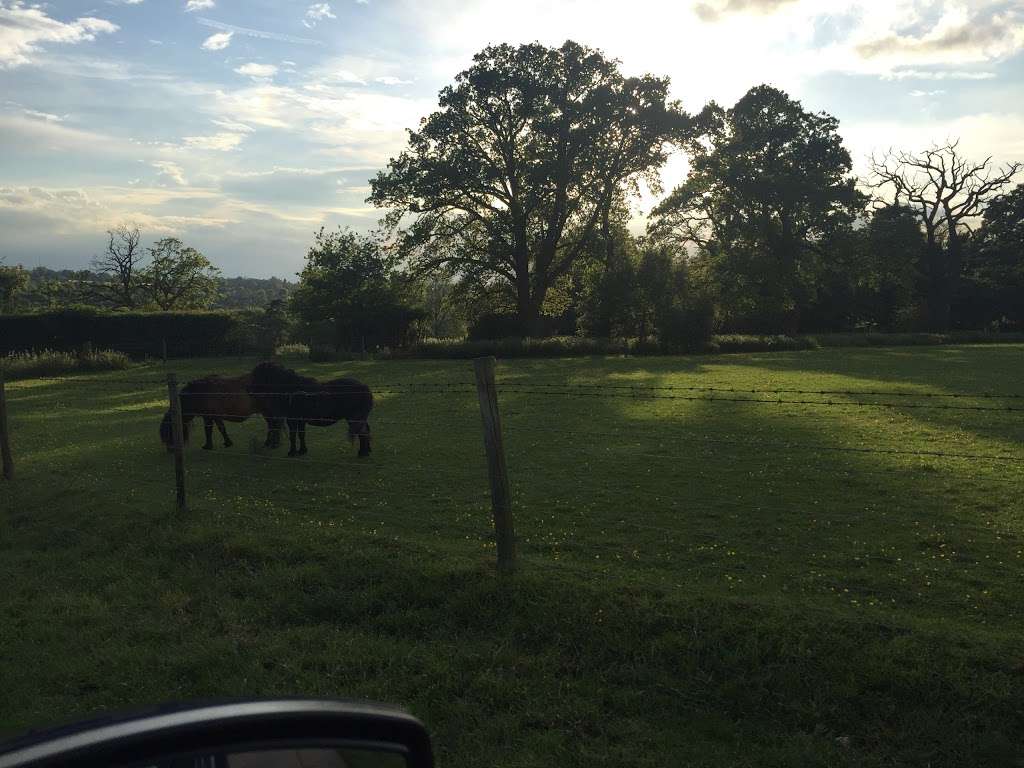 Lockley Farm | Great North Road, Welwyn AL6 0BL, UK | Phone: 01438 718641