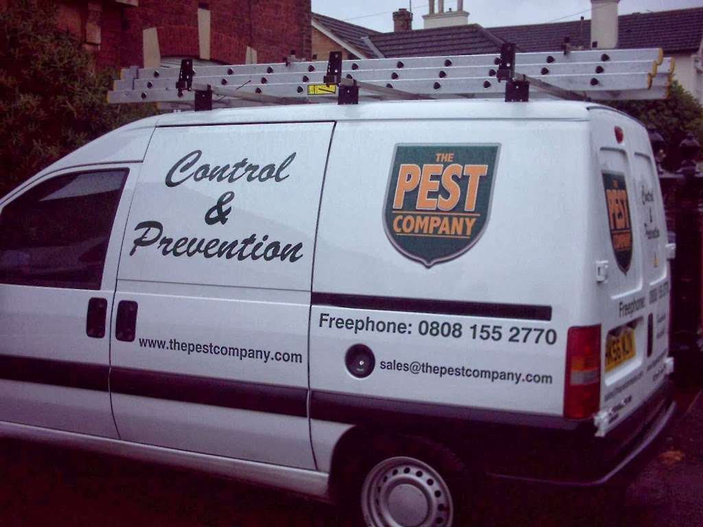 The pest company ltd | 439-445 Godstone Rd, Warlingham, Whyteleafe CR3 0BL, UK | Phone: 01737 212272