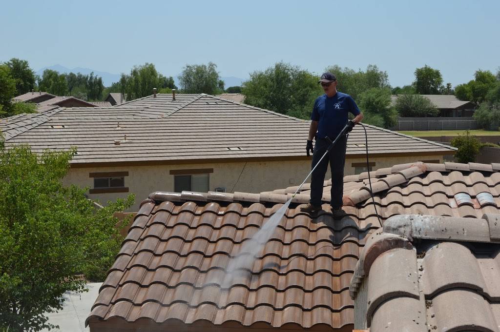 Pigeon Control Phoenix | 24820 N 16th Ave #135, Phoenix, AZ 85085, USA | Phone: (602) 978-1415