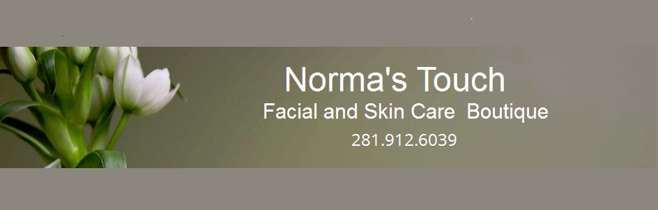 Normas Touch | 14359 Misty Meadow Ln, Houston, TX 77079 | Phone: (281) 912-6039