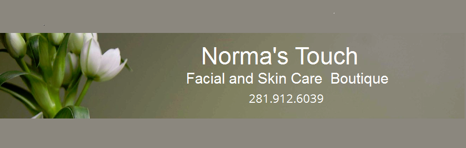 Normas Touch | 14359 Misty Meadow Ln, Houston, TX 77079, USA | Phone: (281) 912-6039