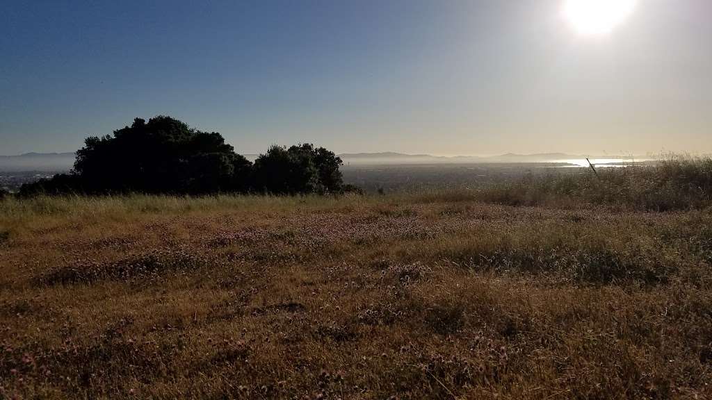 Jeep Trail | Oakland, CA 94605, USA